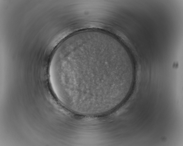 X0000113220977200910221121