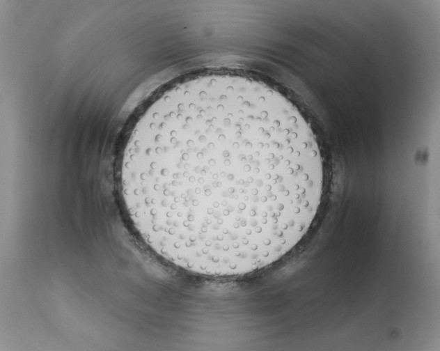 X0000113220978200910221121