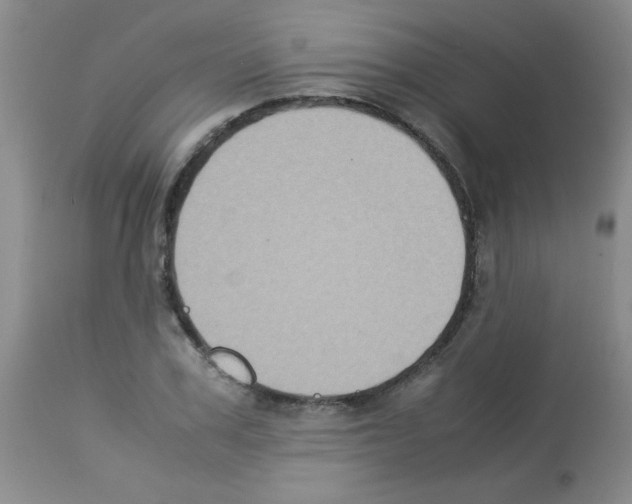 X0000113220979200910221121