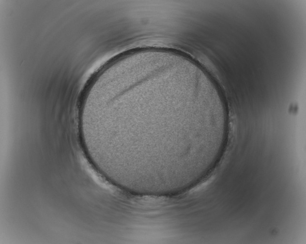 X0000113220981200910221121