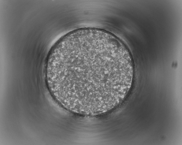 X0000113220983200910221121