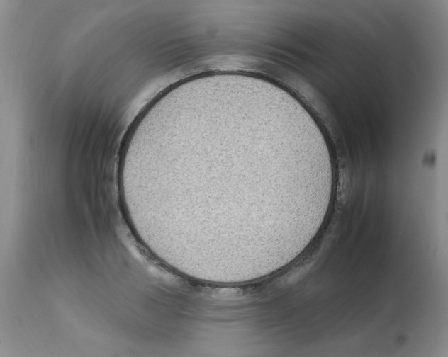 X0000113220986200910221121