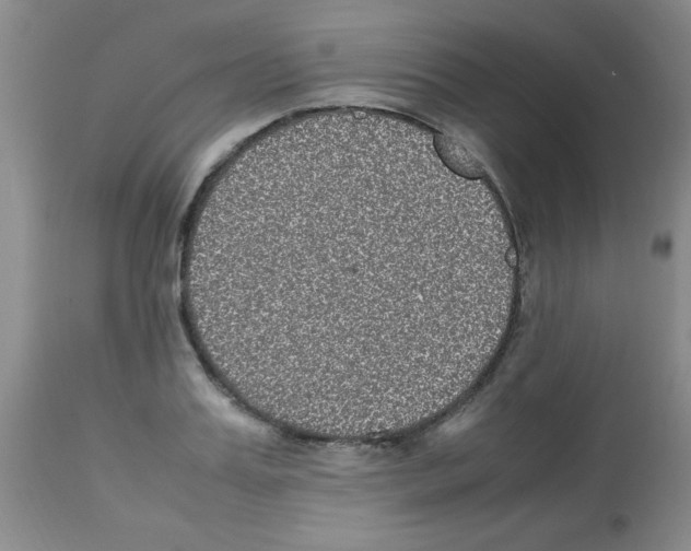 X0000113220987200910221121