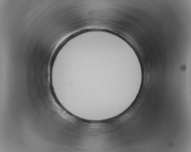 X0000113220988200910221121