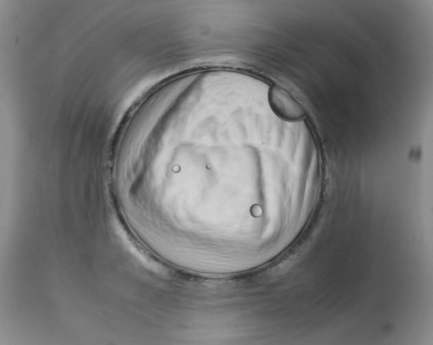 X0000113220989200910221121