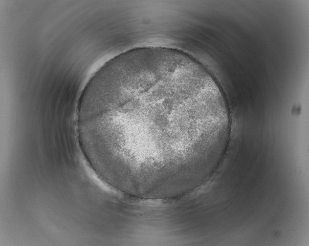 X0000113220990200910221121