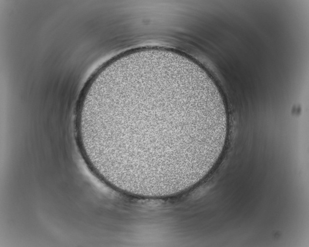 X0000113220991200910221121