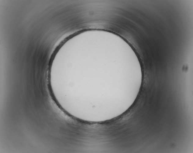X0000113220992200910221121