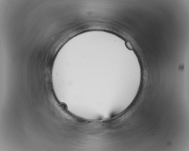 X0000113220993200910221121