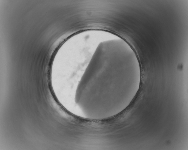 X0000113220995200910221121