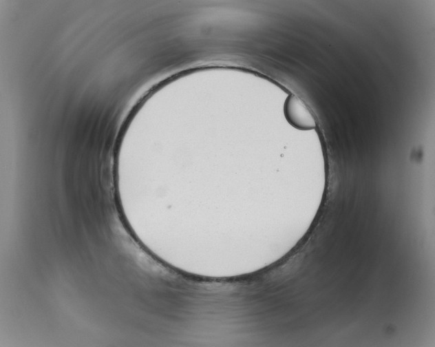 X0000113220996200910221121