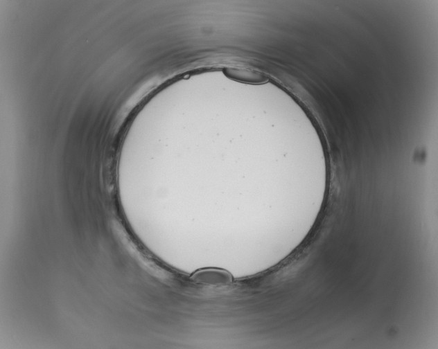 X0000113220997200910221121