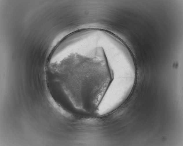 X0000113220998200910221121