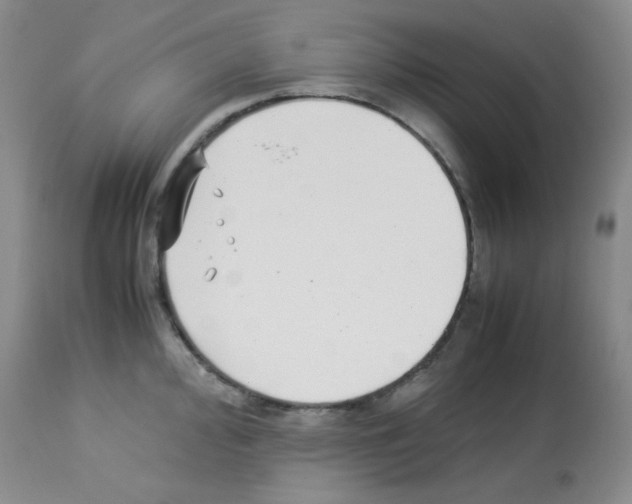 X0000113221000200910221121