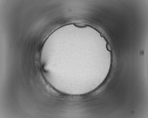 X0000113221001200910221121
