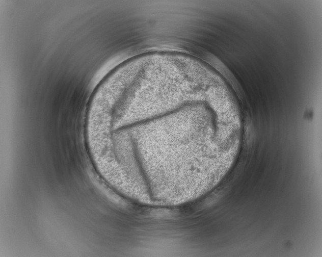 X0000113221002200910221121