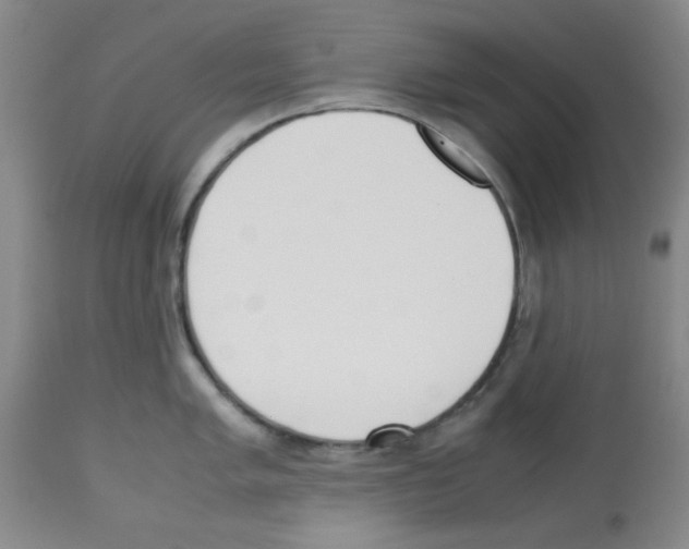 X0000113221005200910221120
