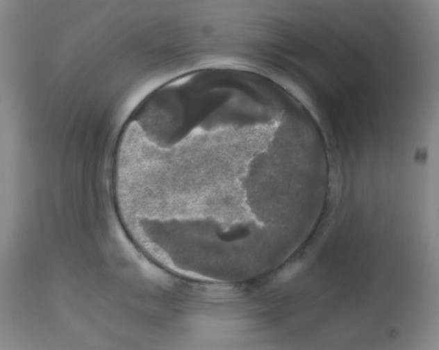 X0000113221007200910221120