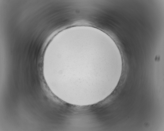X0000113221008200910221120