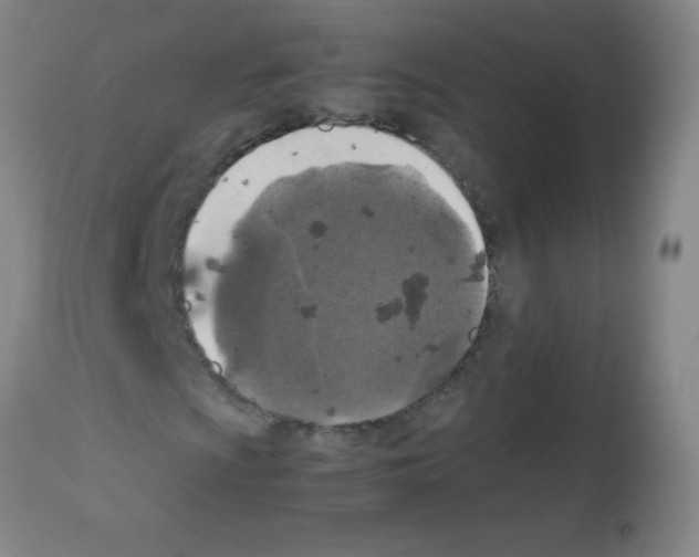 X0000113221009200910221120