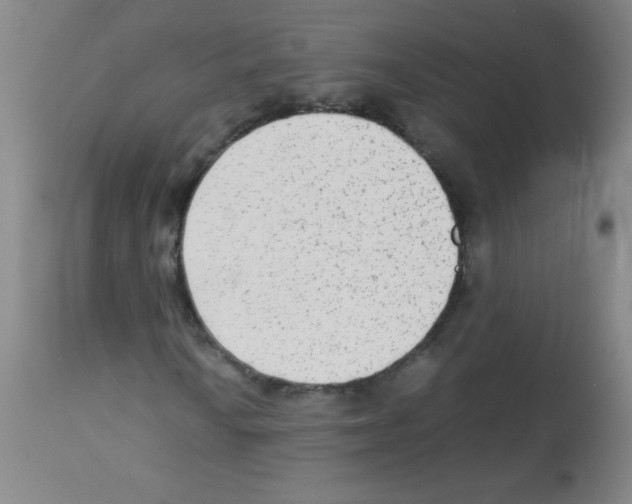 X0000113221010200910221120