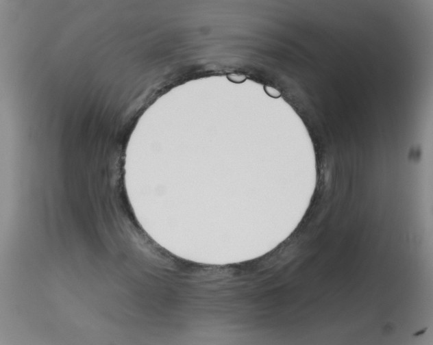 X0000113221012200910221120
