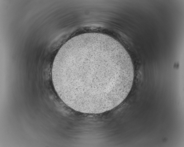X0000113221014200910221120