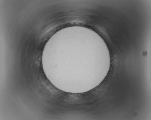 X0000113221015200910221120
