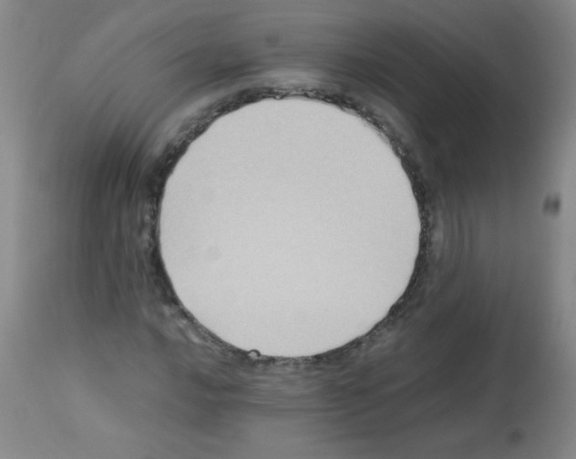 X0000113221016200910221120