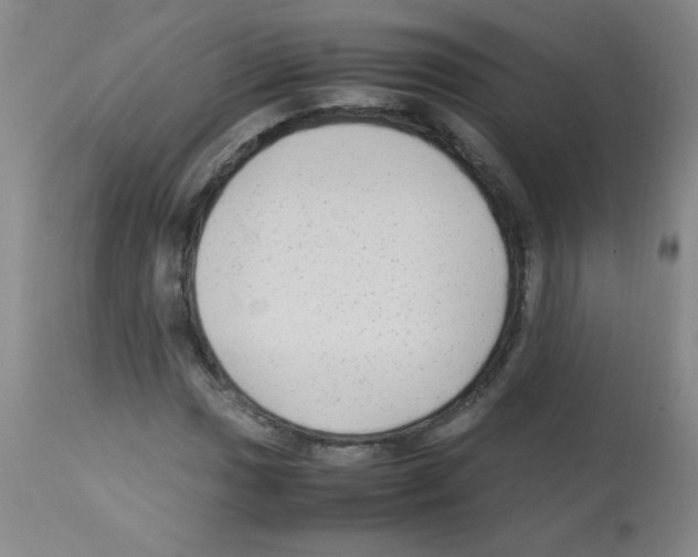 X0000113221017200910221120