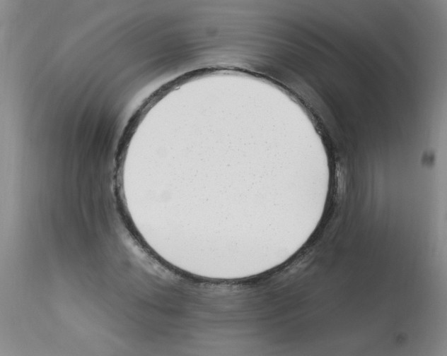 X0000113221020200910221120