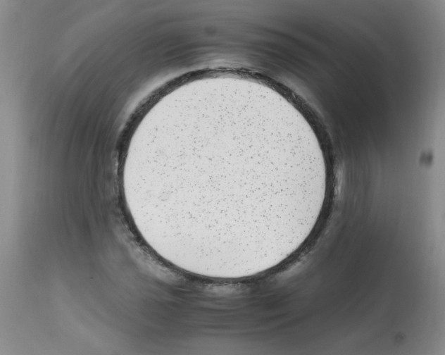 X0000113221021200910221120