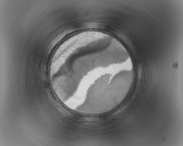 X0000113221023200910221120