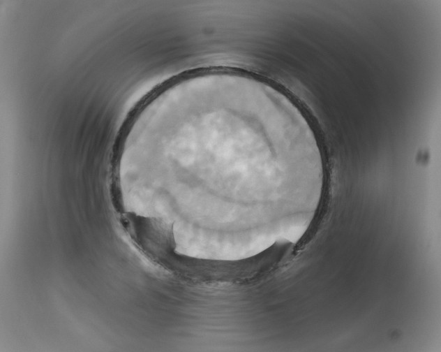 X0000113221024200910221120