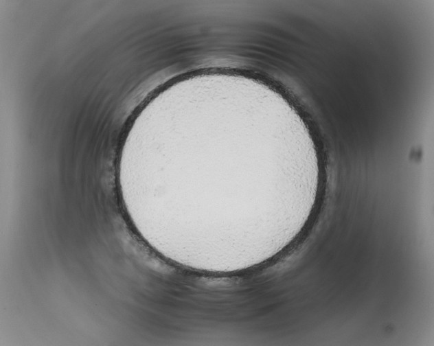 X0000113221025200910221120
