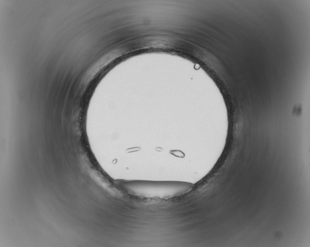 X0000113221026200910221120