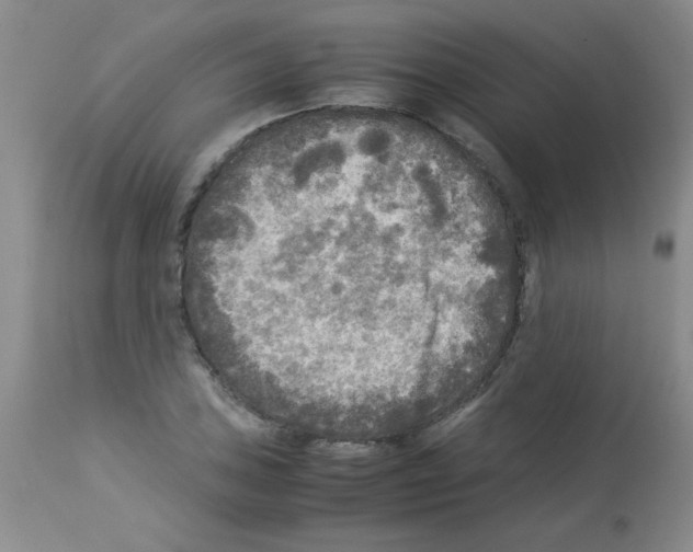 X0000113221027200910221120