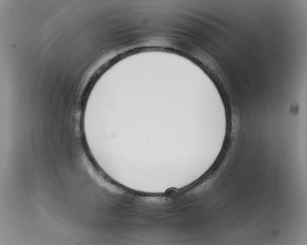 X0000113221029200910221120