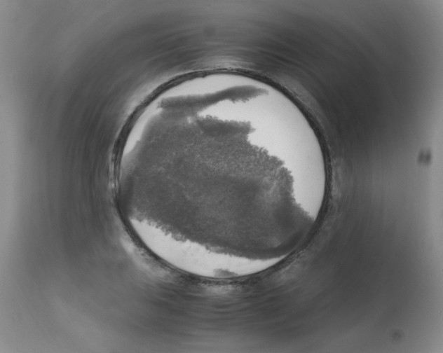 X0000113221031200910221120