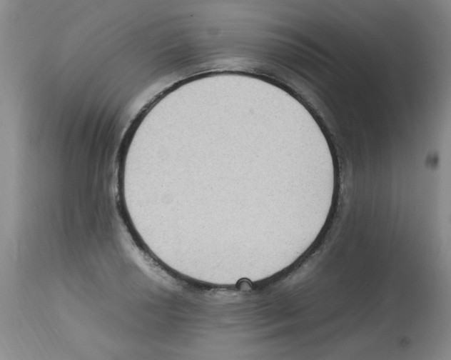 X0000113221034200910221120