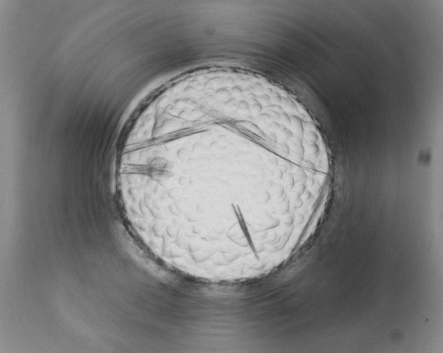X0000113221036200910221120