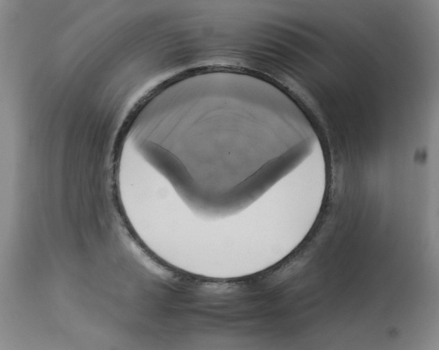 X0000113221037200910221120