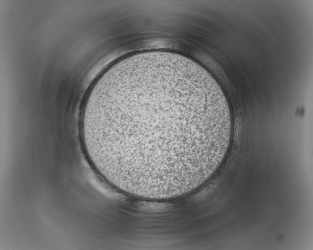 X0000113221039200910221120