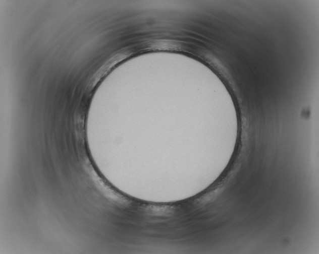X0000113221041200910221120