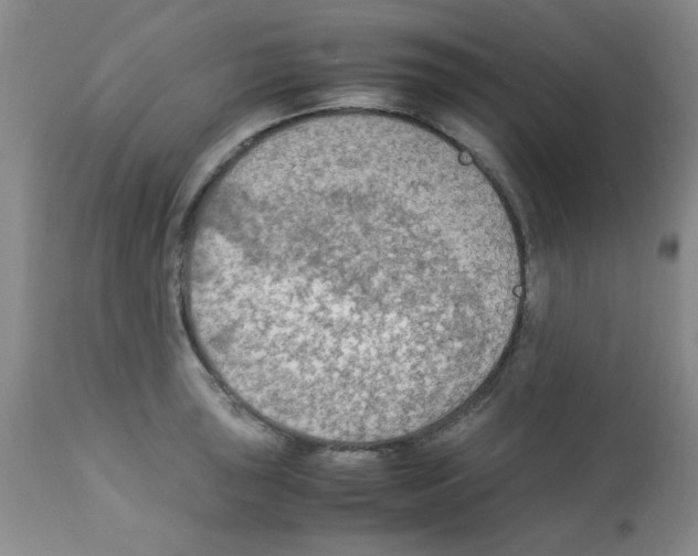 X0000113221043200910221120