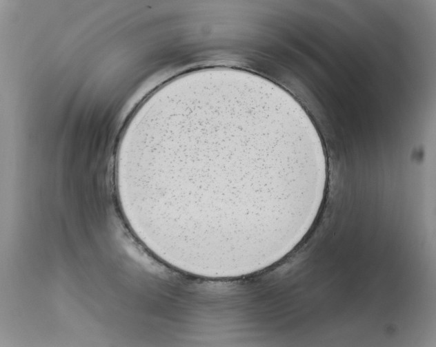 X0000113221044200910221120