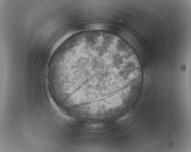 X0000113221047200910221120