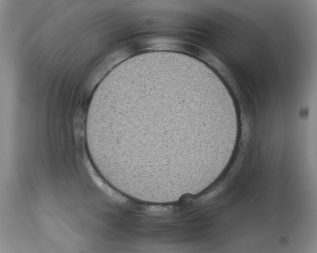 X0000113221049200910221120