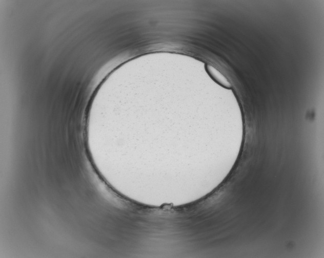 X0000113221050200910221120
