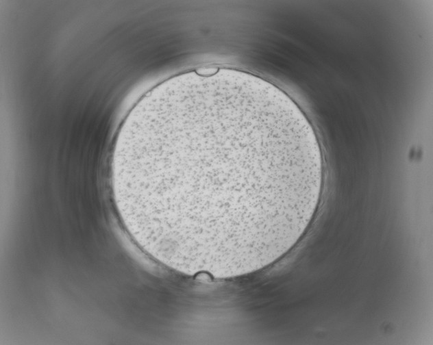 X0000113221056200910221120